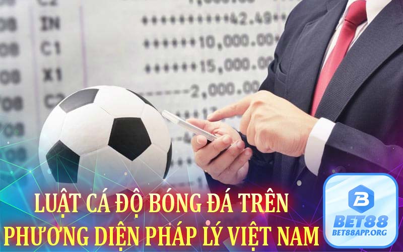 Luật cá độ bóng đá trên phương diện pháp lý Việt Nam